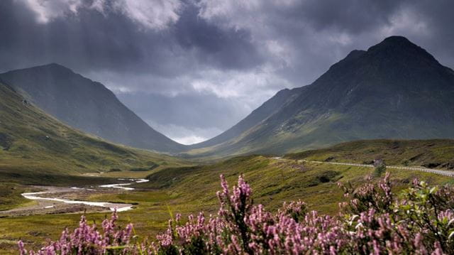 Mountains with heather in foreground